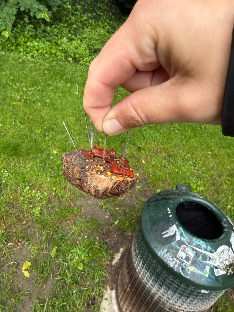 Giftköder-Mit Nadeln gespickte Fleischstücke-Profilbild