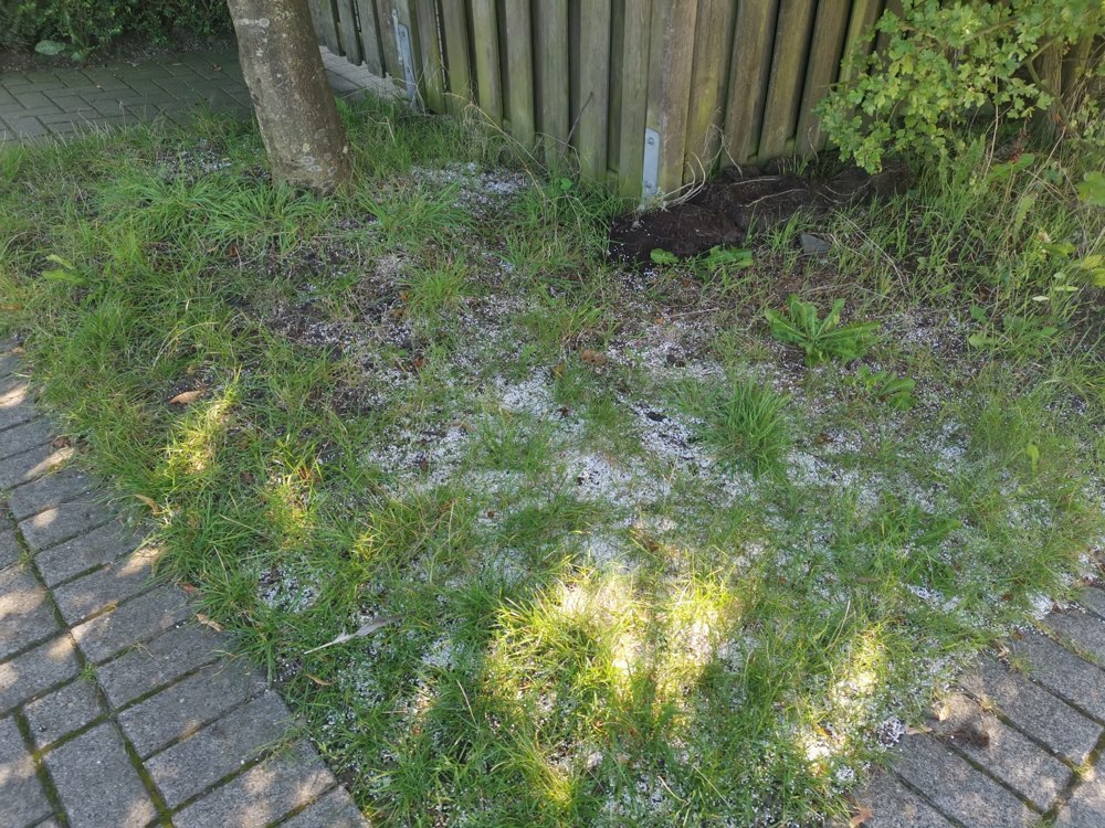 Giftköder-Verdächtige weiße Kügelchen-Profilbild