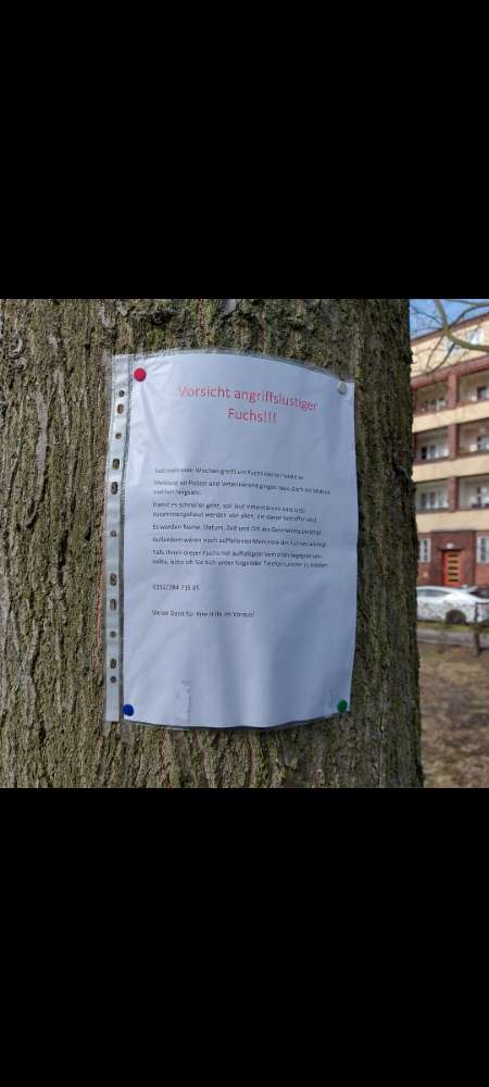 Giftköder-Angriffslustiger Fuchs-Profilbild