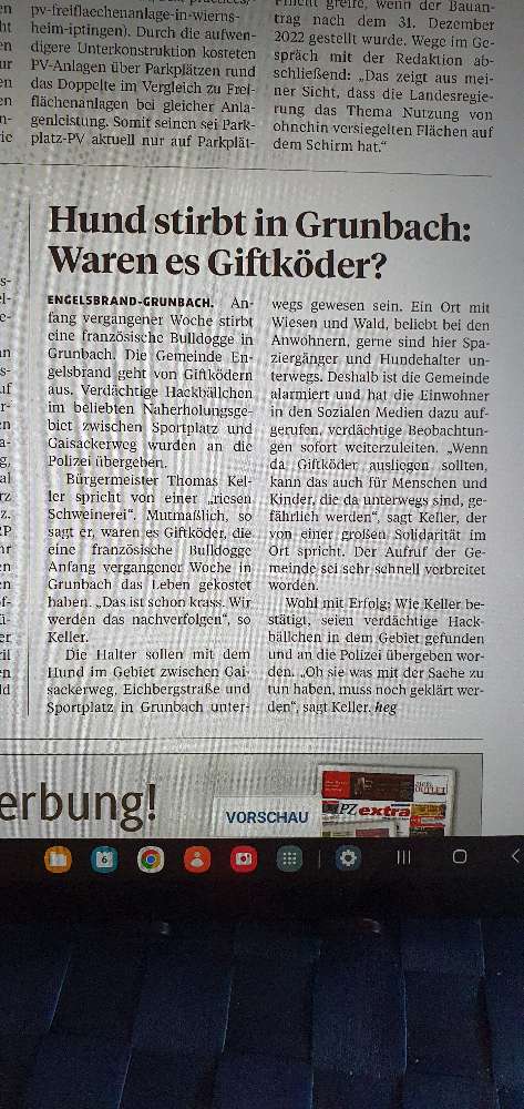 Giftköder-Hund stirbt an vergifteten Hackbällchen-Profilbild