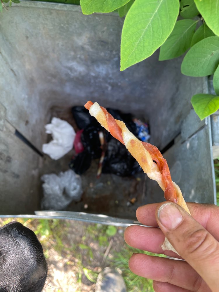 Giftköder-Ausgelegte Kaustangen-Profilbild