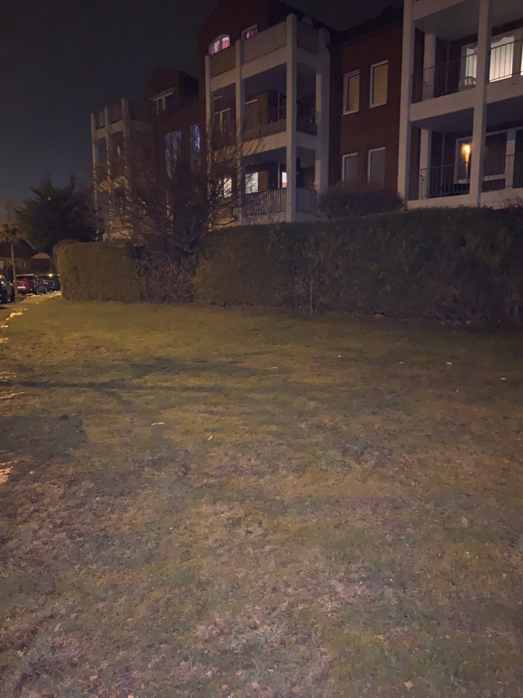 Giftköder-Verteilte Leckerlies auf der Wiese-Profilbild