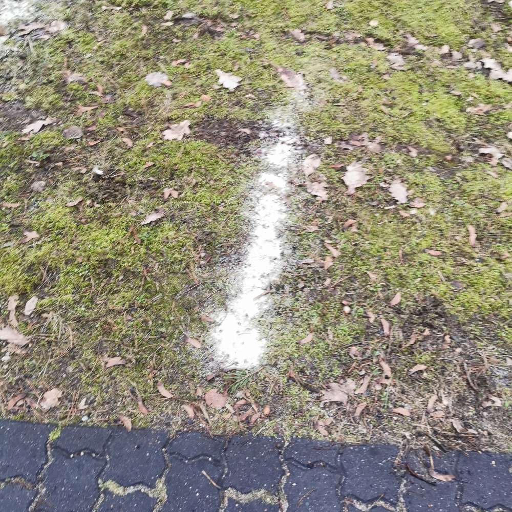 Giftköder-Undefiniertes weißes Pulver-Profilbild