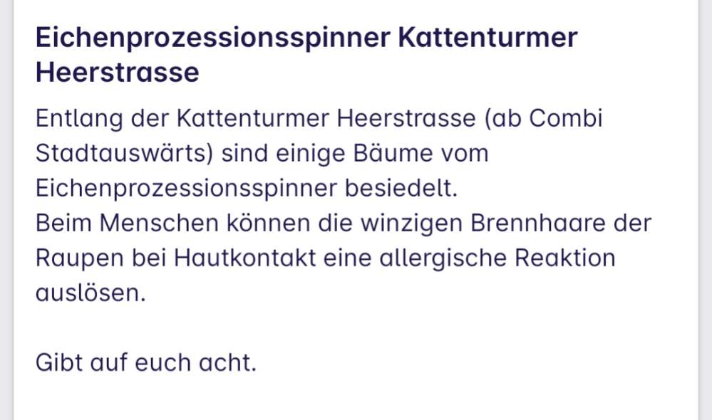 Giftköder-Eichenprozessionsspinner-Profilbild