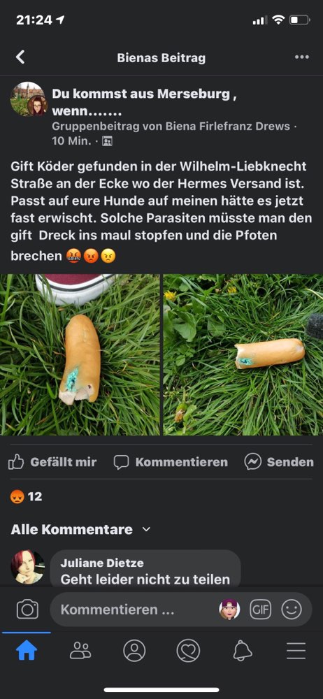 Giftköder-Giftköder-Profilbild