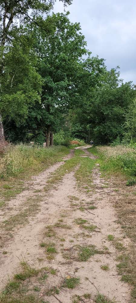 Giftköder-EPS in der Heide-Profilbild