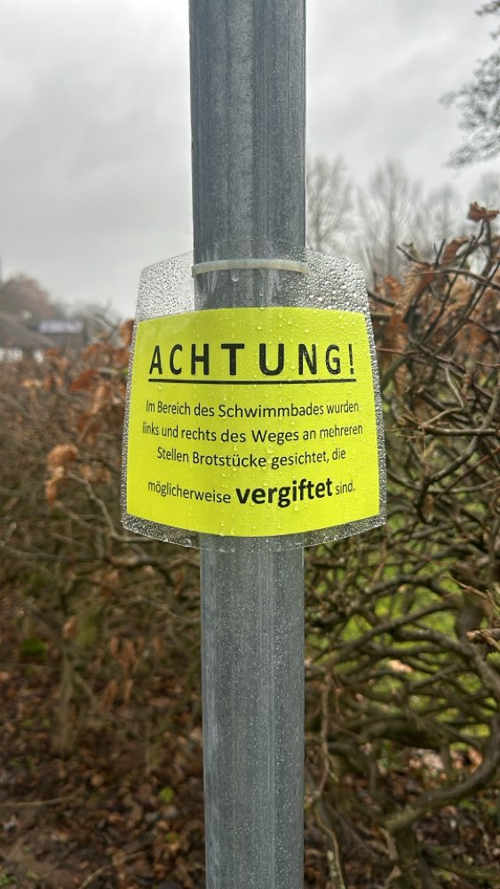 Giftköder-Evtl. vergiftetes Brot-Profilbild