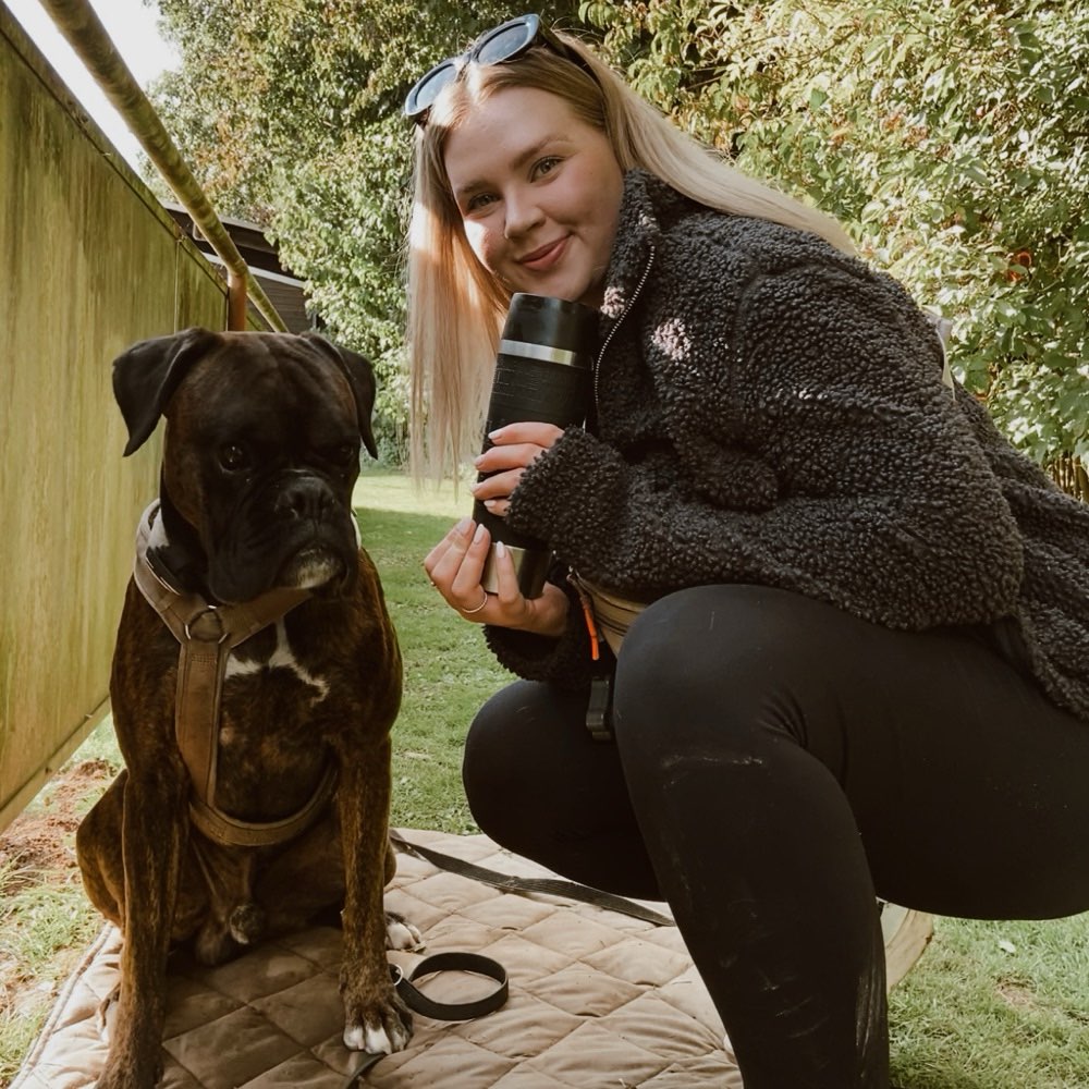 Hundetreffen-Gemeinsame Gassirunde / Spieltreffen-Profilbild