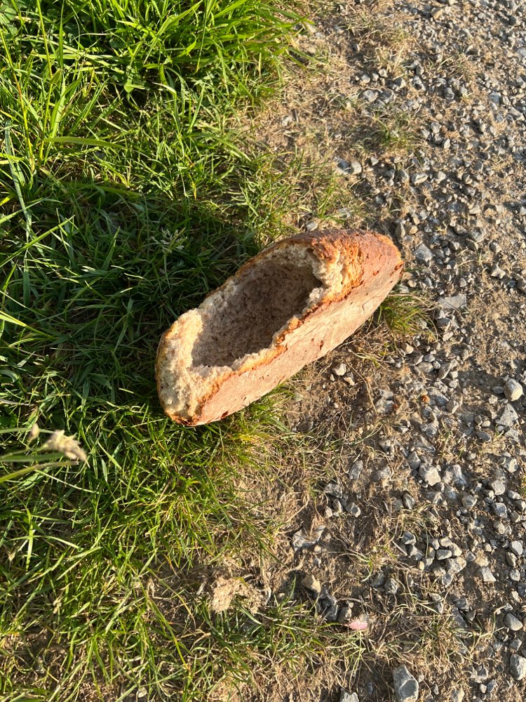 Giftköder-Ausgehöhltes bzw. angenagtes Brot-Profilbild