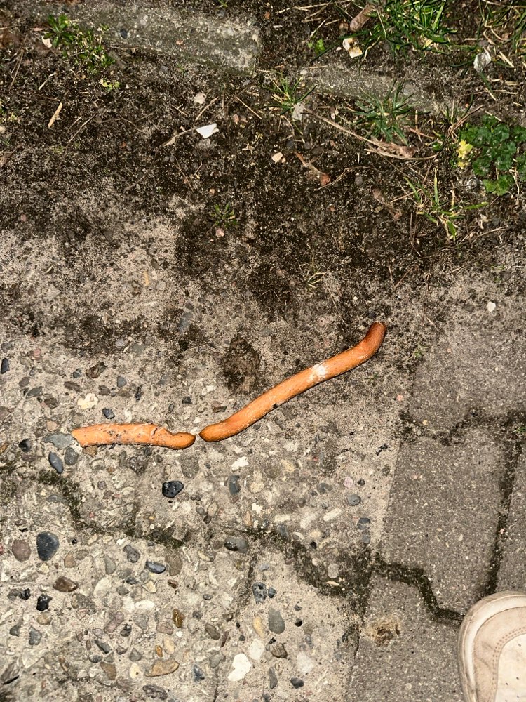 Giftköder-Vermutlich Rattengift auf einer Wurst-Profilbild