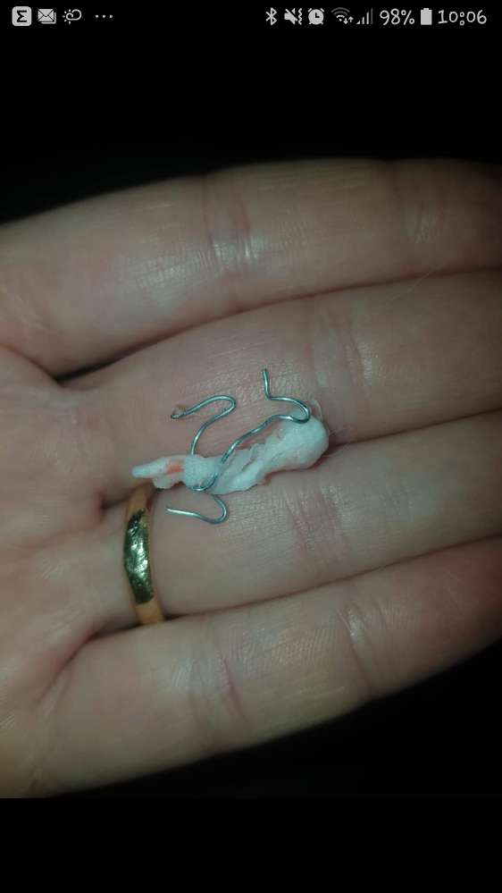 Giftköder-Köder-Profilbild