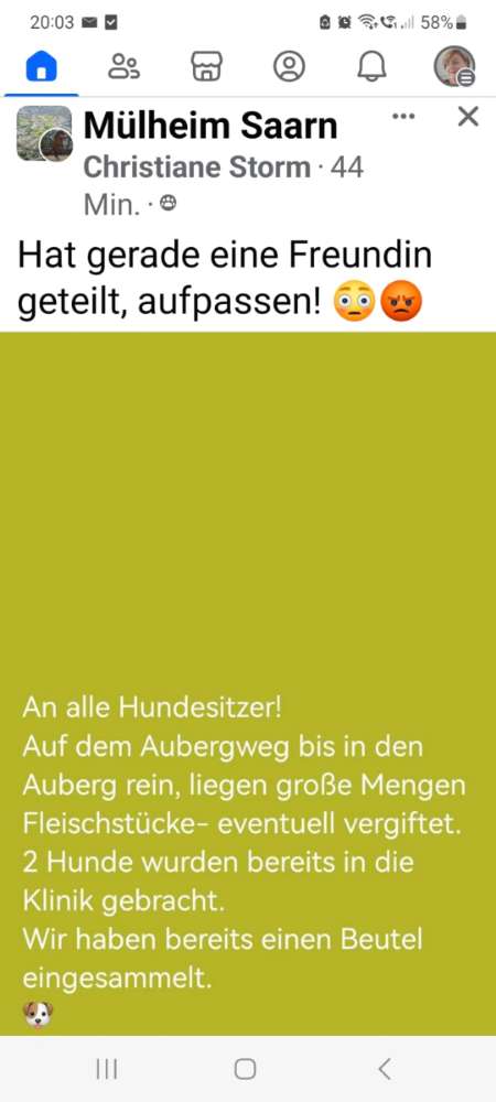 Giftköder-Gift-Profilbild