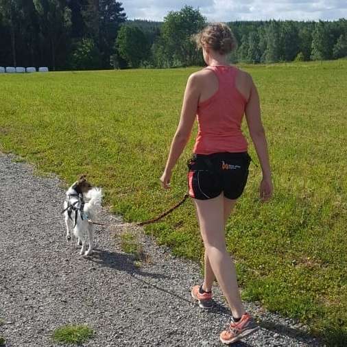 Hundetreffen-Mitläufer gesucht-Profilbild