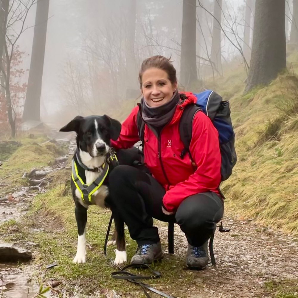 Hundetreffen-Gemeinsame Gassi-und Spielrunden-Profilbild