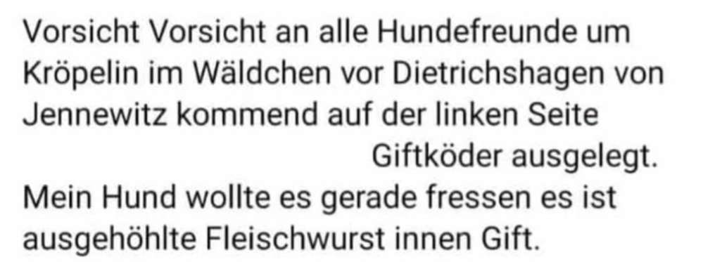 Giftköder-Gifköder-Profilbild