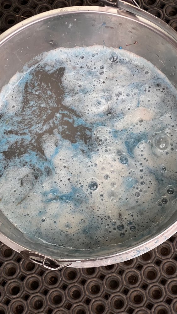 Giftköder-Giftköder-Profilbild