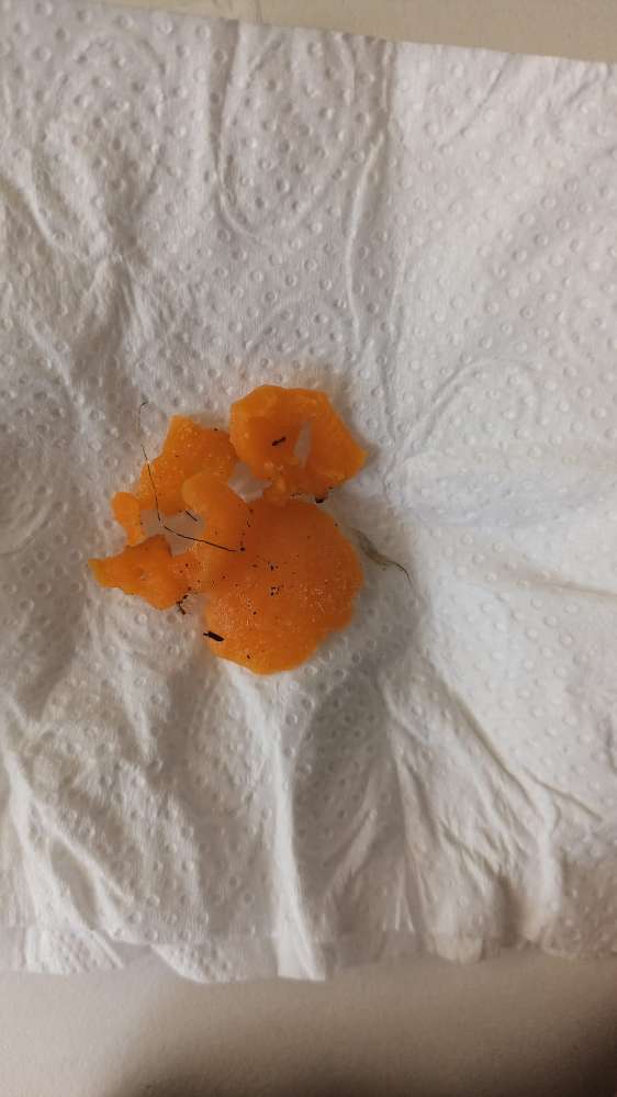 Giftköder-Medikamente - unbekanntes Obst-Profilbild