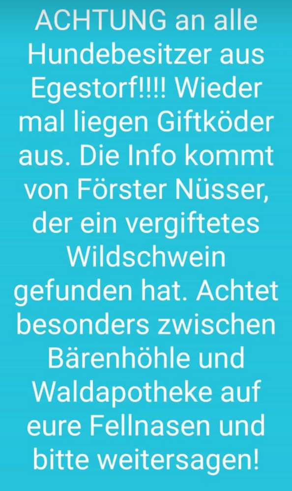 Giftköder-Giftköder-Profilbild