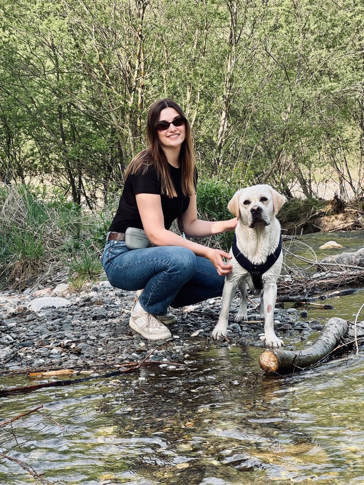 Hundetreffen-Neue Gegend, neue Hundefreunde 🐶-Profilbild