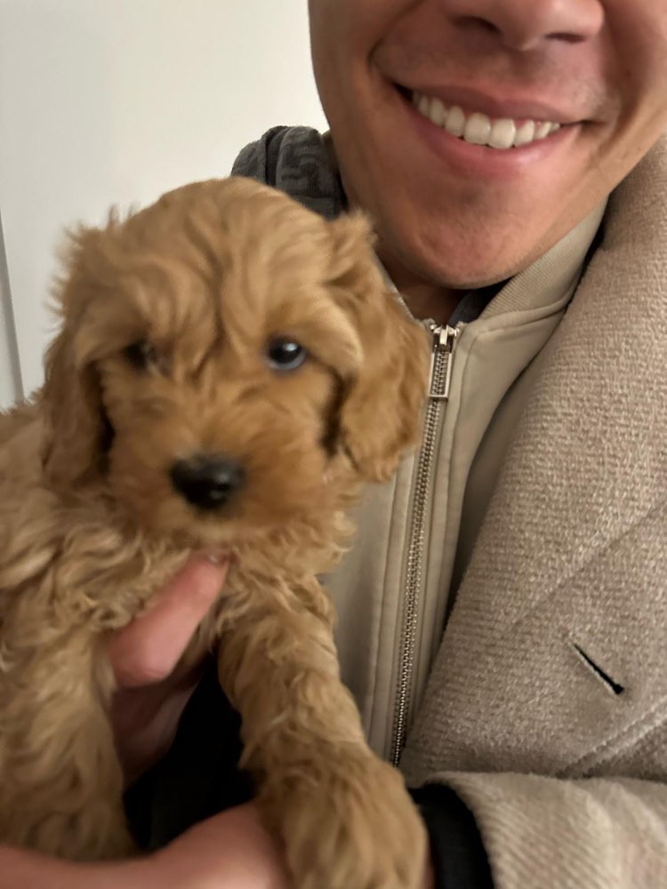 Hundetreffen-Welpentreffen am Karl-August-Platz-Profilbild