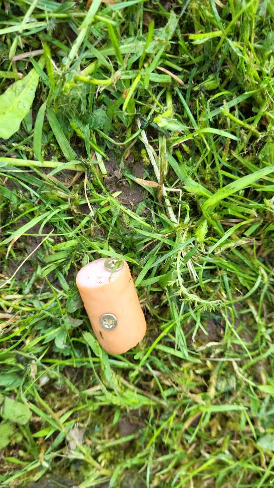 Giftköder-Gifköder-Profilbild