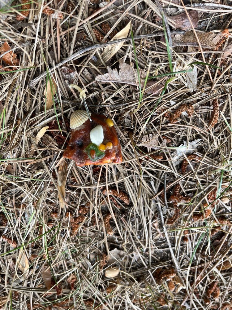 Giftköder-Giftköder?-Profilbild