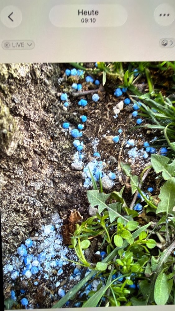 Giftköder-Schneckenkorn !!!-Profilbild