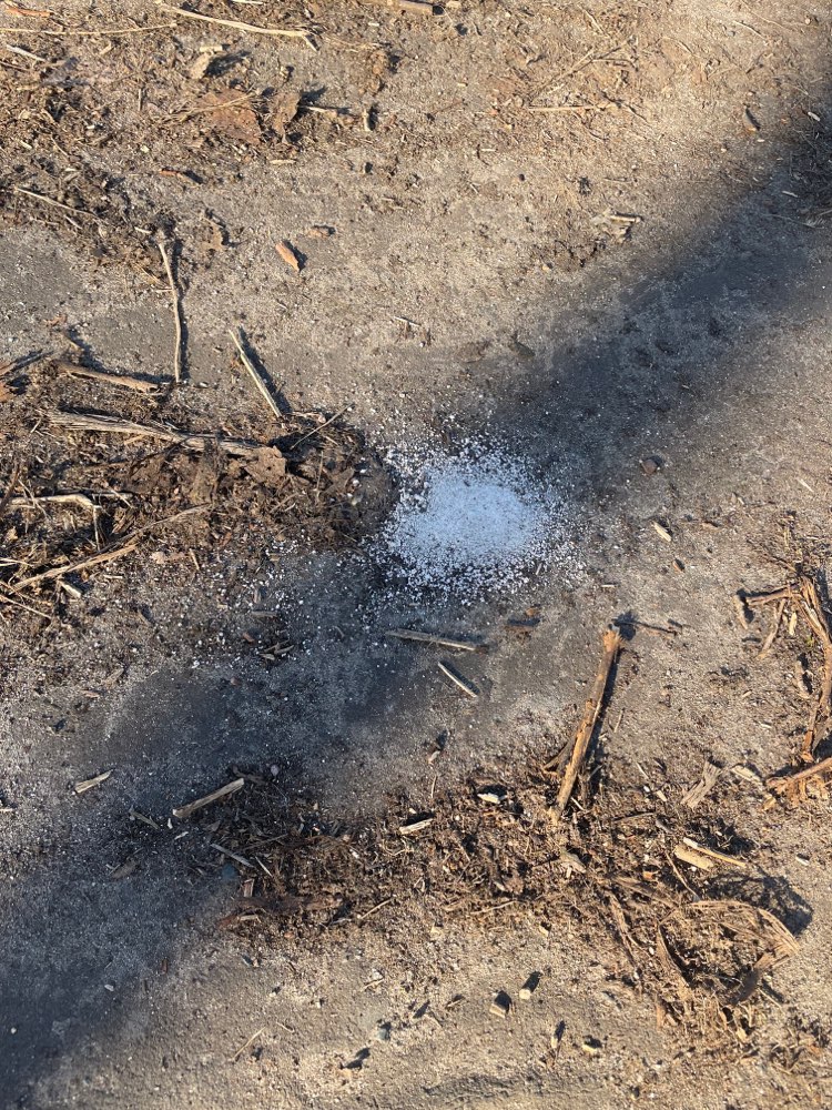 Giftköder-Weißes Pulver am Parkplatz Biesenhorst-Profilbild