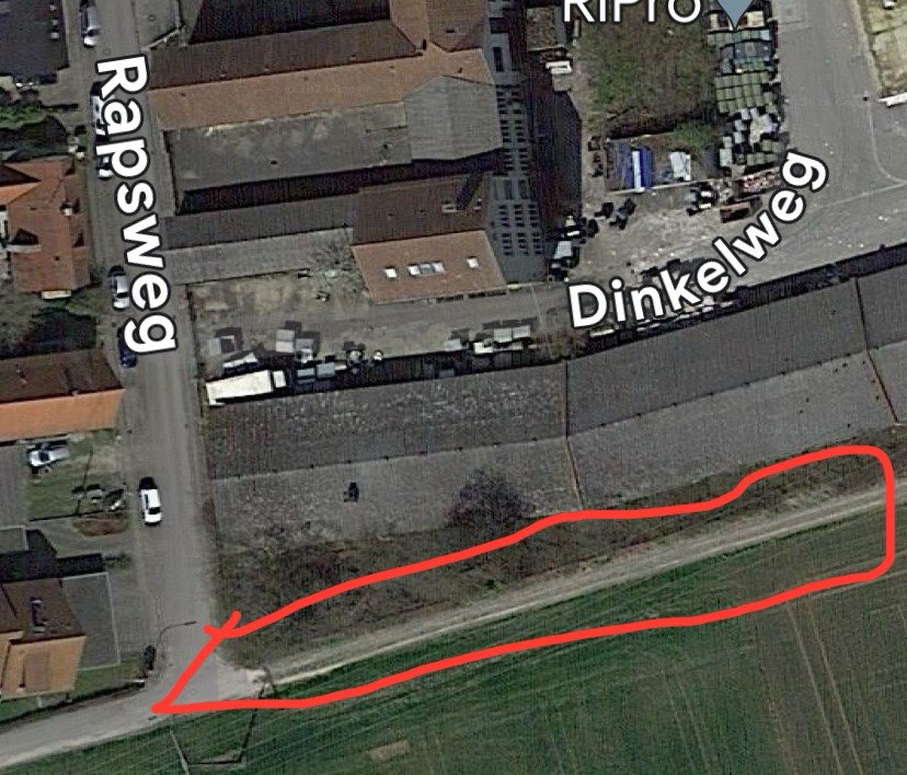 Giftköder-Rattengift - weiße Watte!-Profilbild