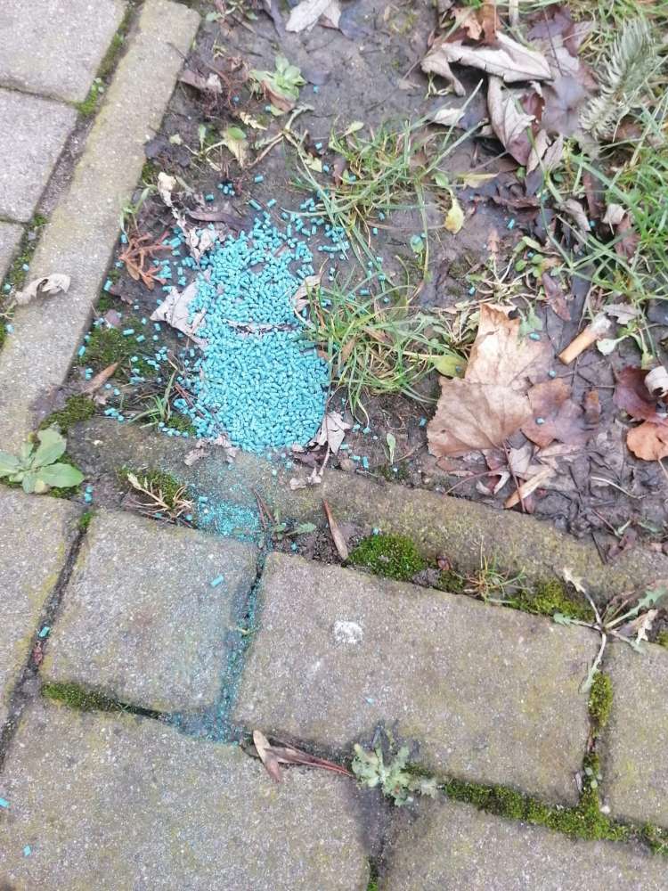 Giftköder-Vermutlich Rattengift-Profilbild