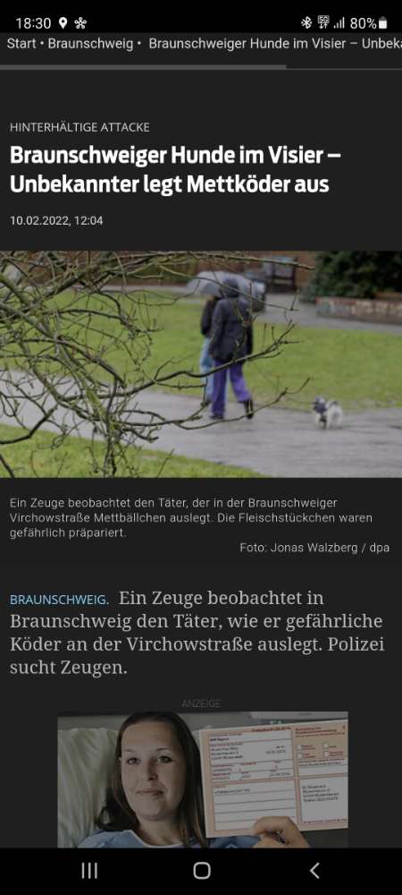 Giftköder-Mettbällchen mit Reiszwecken-Profilbild