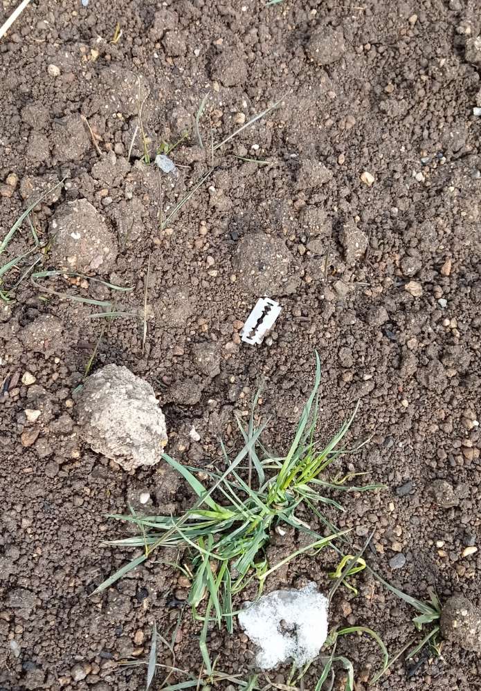 Giftköder-Rasierklingen-Profilbild