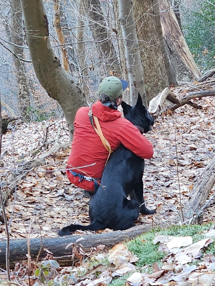 Hundetreffen-Trainings-/Social Walk-Profilbild