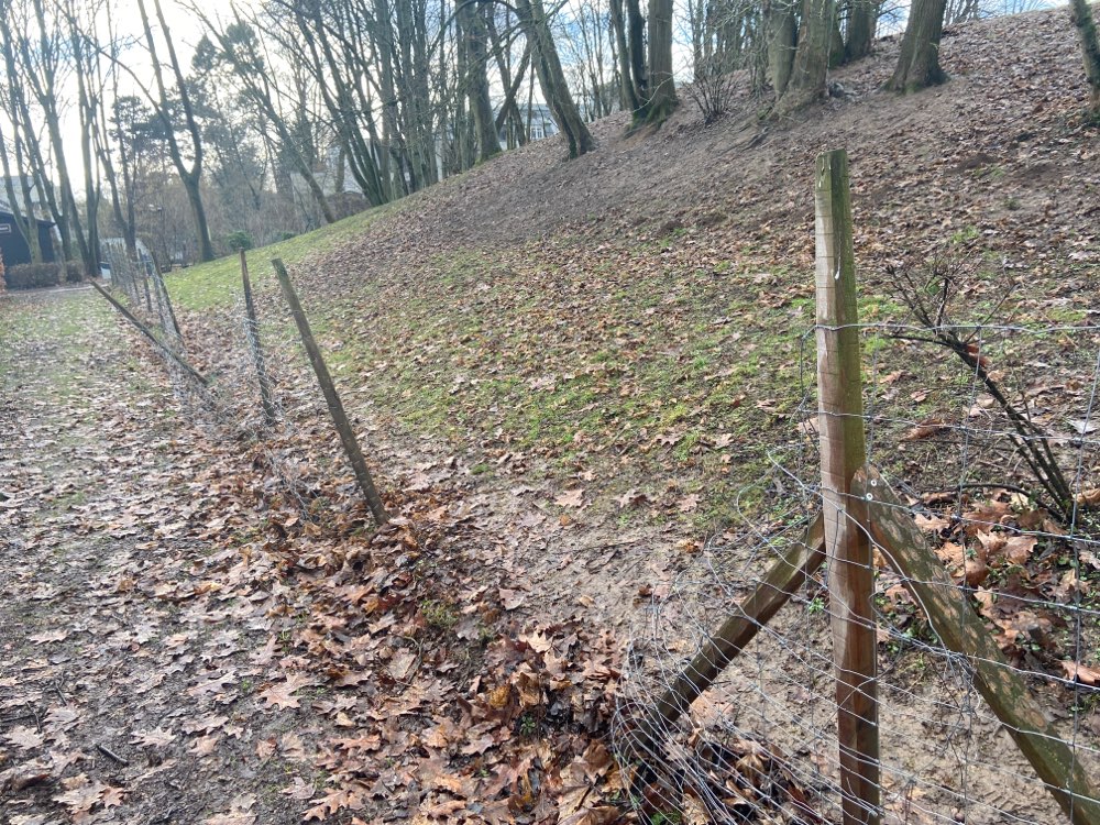 Giftköder-Loch im Zaun - auf Hundewiese-Profilbild