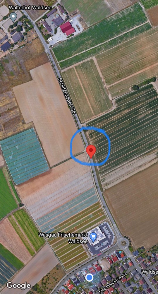 Giftköder-Viele Fleischstücke im Grünstreifen-Profilbild