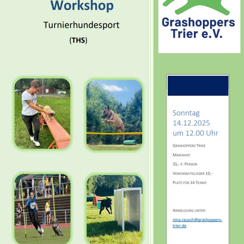 Hundetreffen-Turnierhundesport Workshop-Profilbild