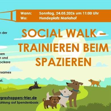 Hundetreffen-Social Walk Spaziergang-Profilbild