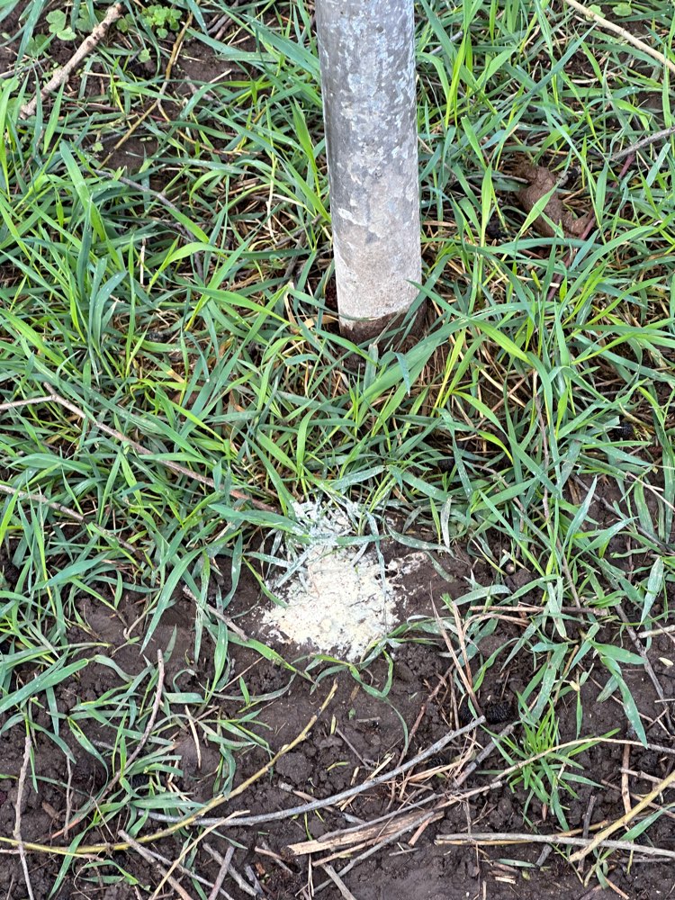 Giftköder-Weißes Pulver-Profilbild