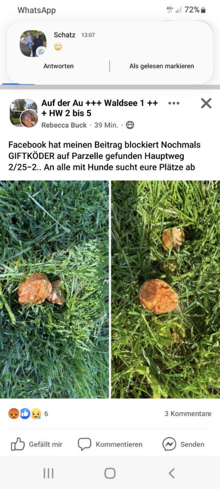 Giftköder-Goftköder-Profilbild