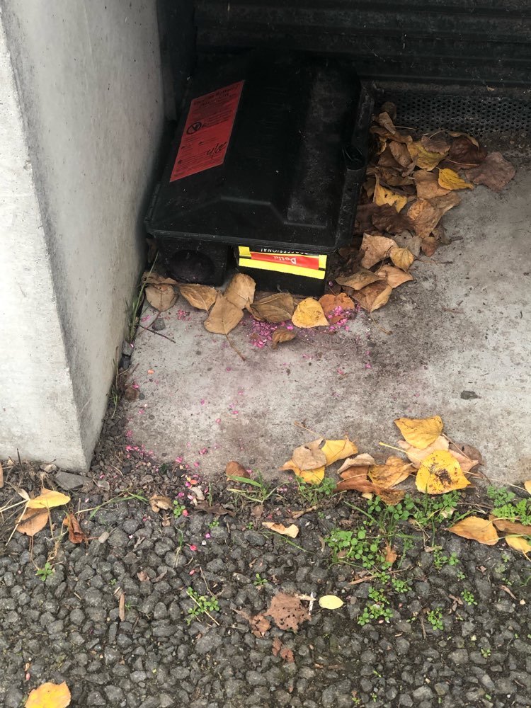 Giftköder-Rattengift (pinkes Granulat)-Profilbild