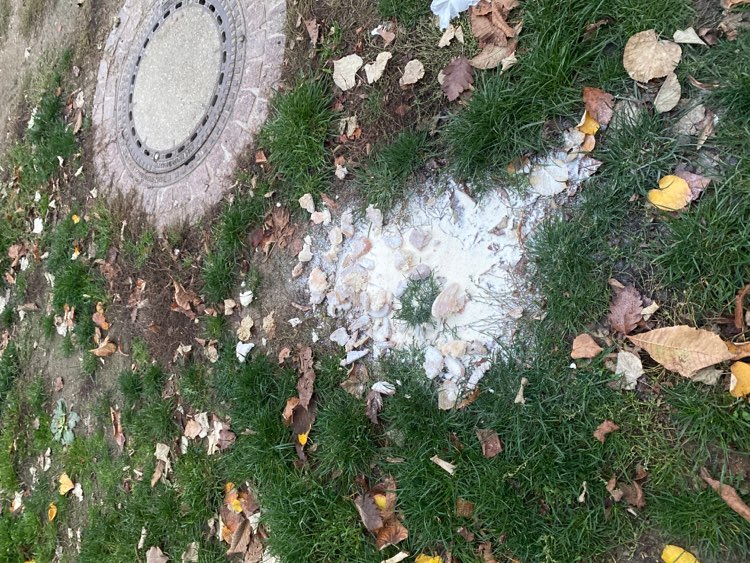 Giftköder-Brot und Pulver-Profilbild