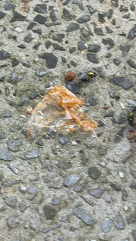 Giftköder-Evtl. vergiftete Lebensmittel-Profilbild