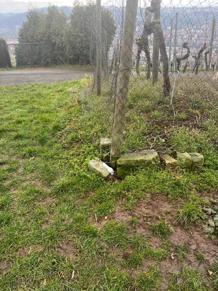 Giftköder-Weißes Pulver-Profilbild