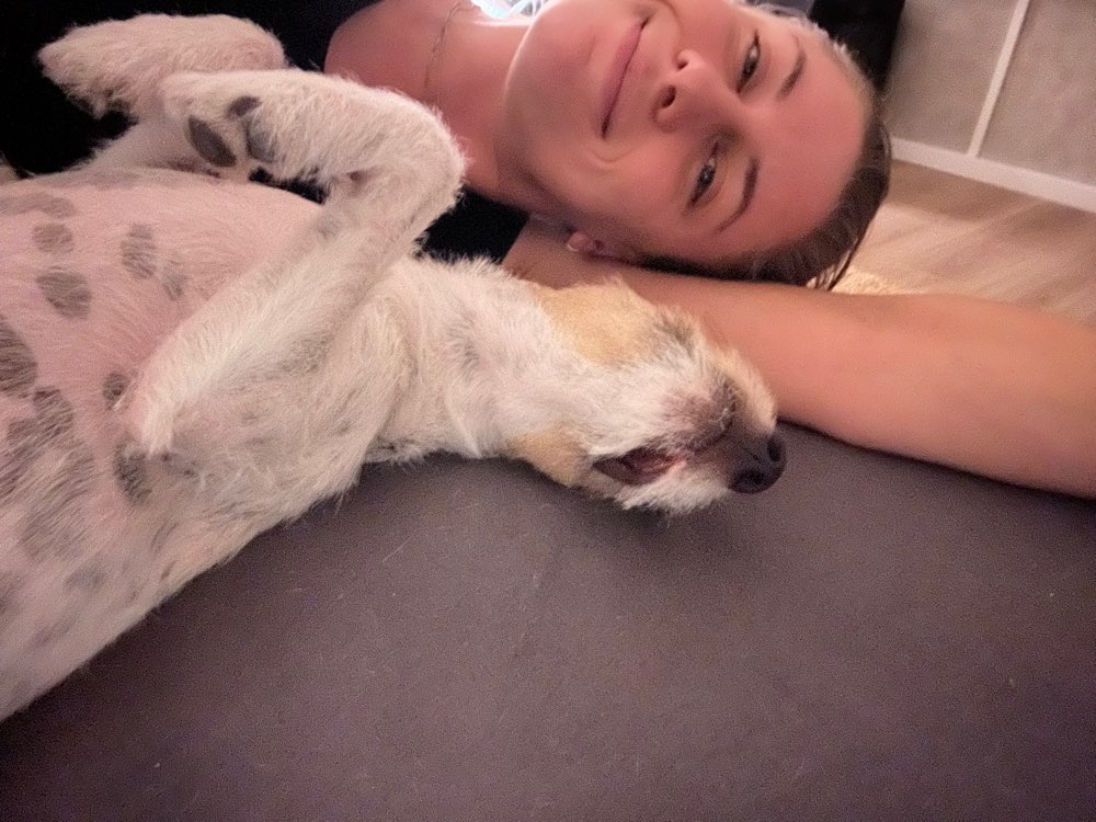 Hundetreffen-Gassi-Freunde & Training-Profilbild