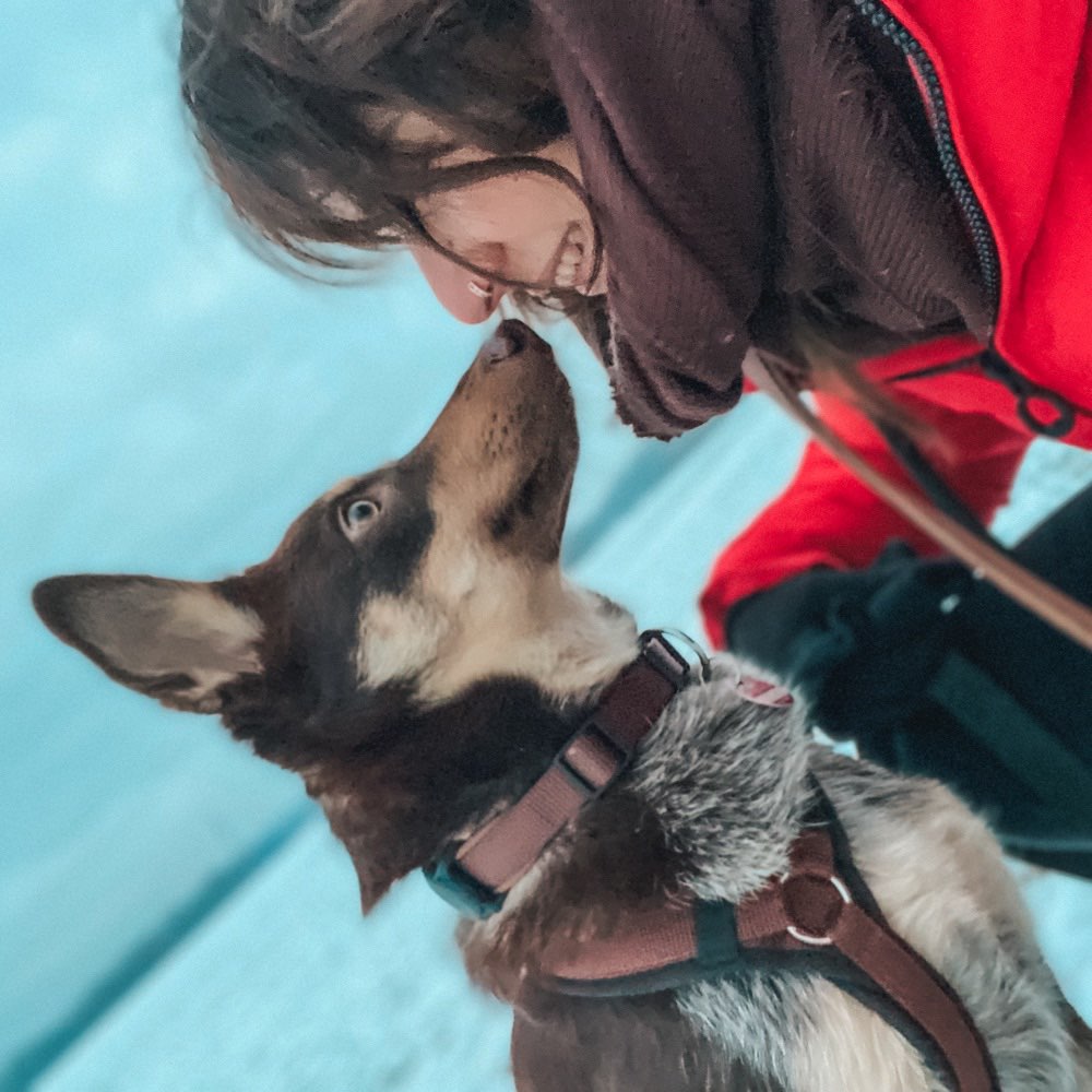 Hundetreffen-Spielspaß Rensfelder Weg-Profilbild