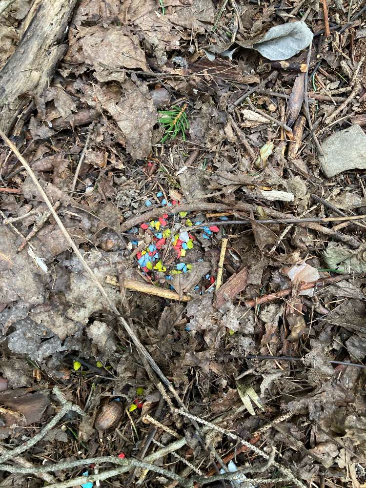 Giftköder-vermutliche Giftköder-Profilbild