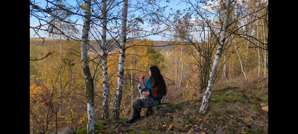 Hundetreffen-Treffen der kleinen Hunde 🐶🐕-Profilbild