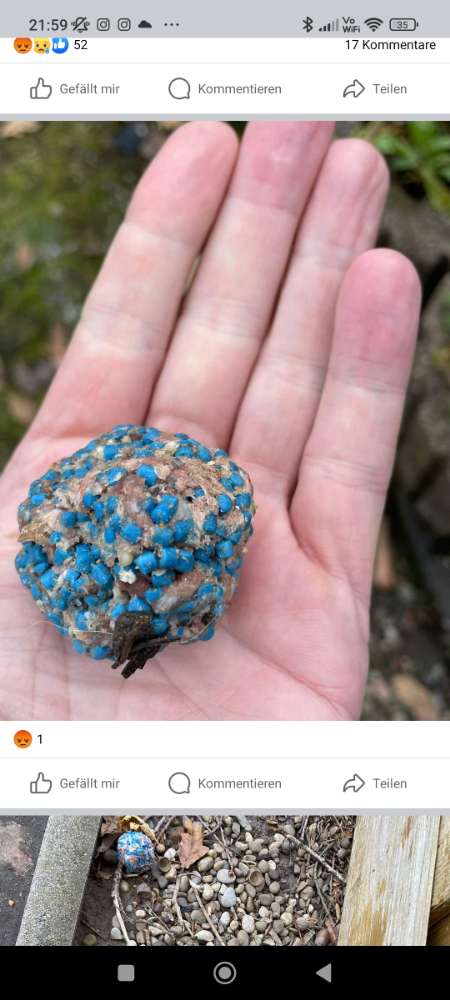 Giftköder-Hackfleisch mit Rattengift-Profilbild