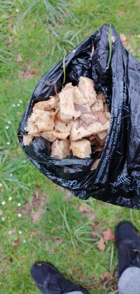 Giftköder-Erneut Brotstücke-Profilbild