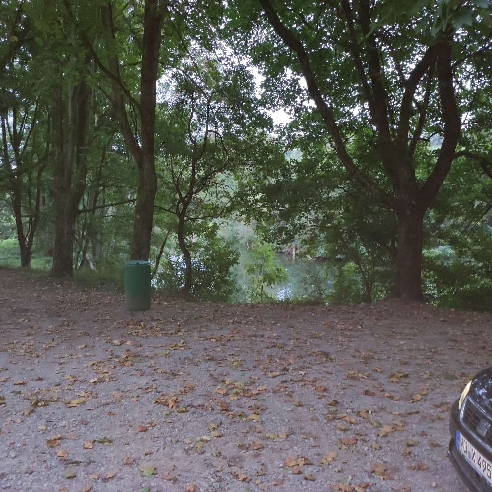 Giftköder-Toter Fuchs-Profilbild